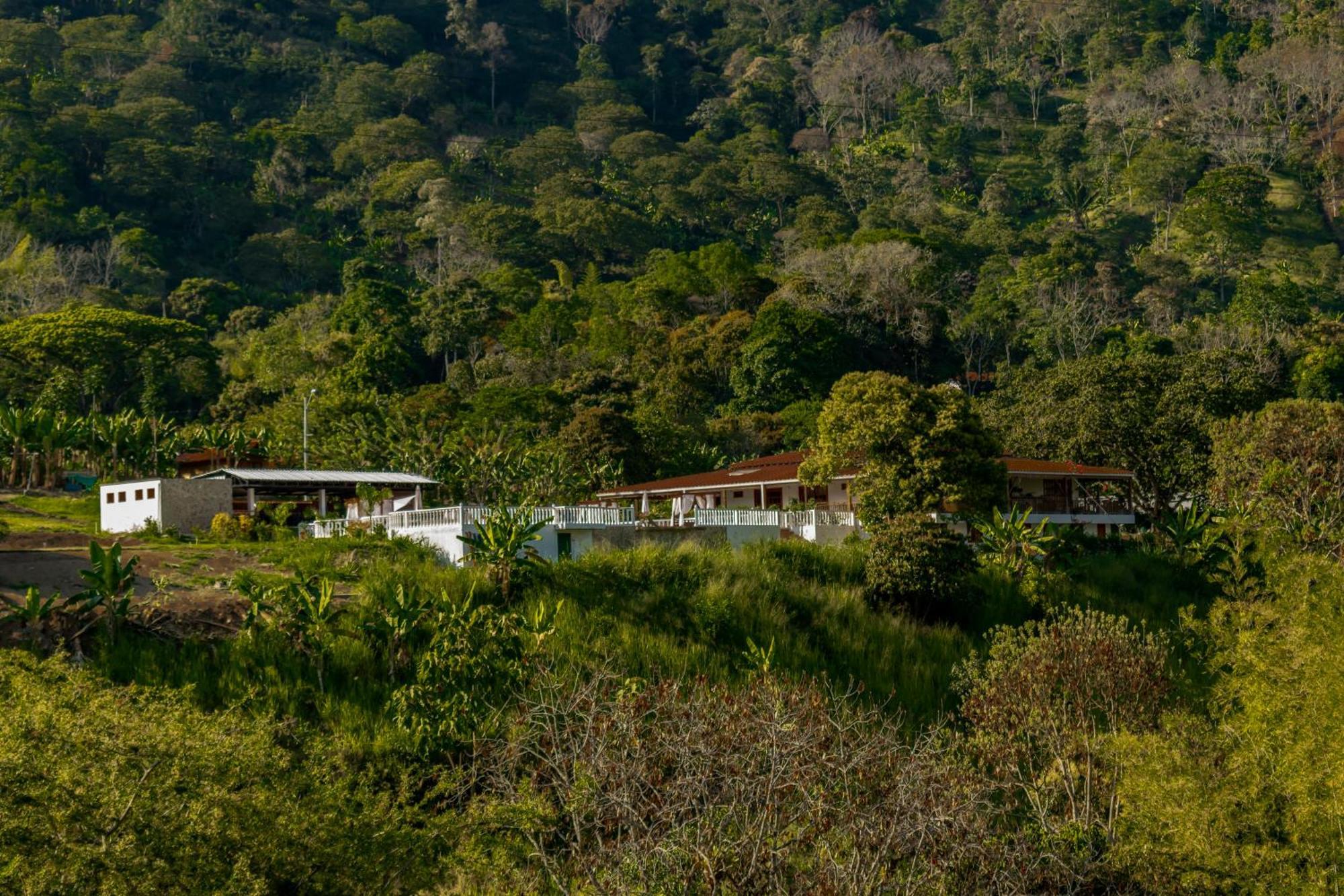 Hotel Campestre La Francesina Betania Eksteriør bilde